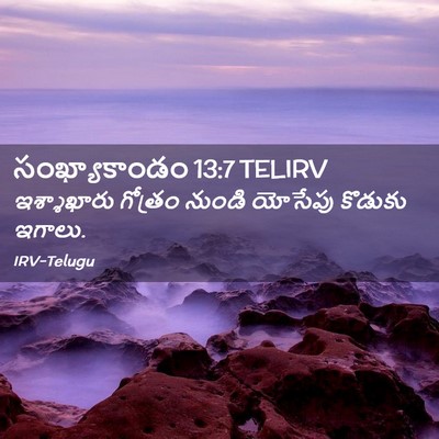 Picture 02 - సంఖ్యాకాండం 13:7 TELIRV - ఇశ్శాఖారు గోత్రం - Bible Verse Picture