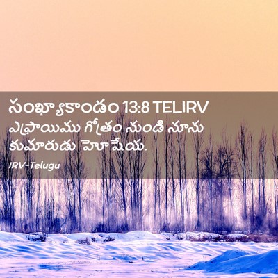 Picture 02 - సంఖ్యాకాండం 13:8 TELIRV - ఎఫ్రాయిము గోత్రం - Bible Verse Picture