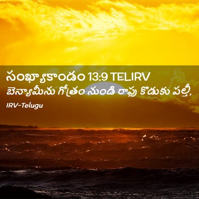 Picture 02 - సంఖ్యాకాండం 13:9 TELIRV - బెన్యామీను గోత్రం - Bible Verse Picture
