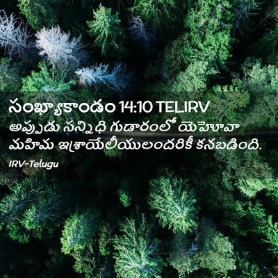 Picture 02 - సంఖ్యాకాండం 14:10 TELIRV - అప్పుడు సన్నిధి - Bible Verse Picture