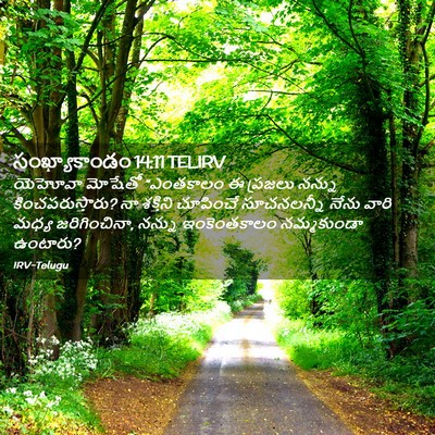 Picture 02 - సంఖ్యాకాండం 14:11 TELIRV - యెహోవా మోషేతో - Bible Verse Picture