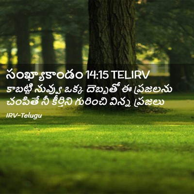 Picture 02 - సంఖ్యాకాండం 14:15 TELIRV - కాబట్టి నువ్వు - Bible Verse Picture