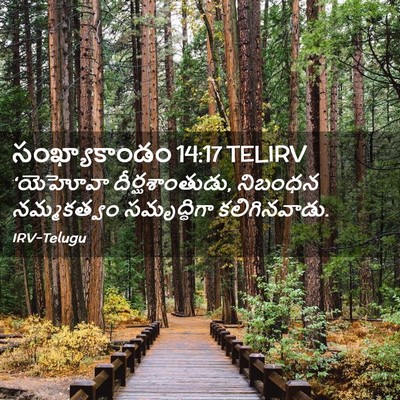 Picture 02 - సంఖ్యాకాండం 14:17 TELIRV - ‘యెహోవా - Bible Verse Picture
