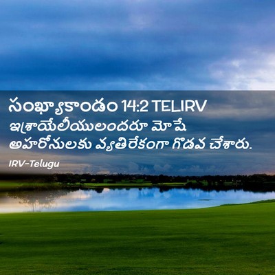 Picture 02 - సంఖ్యాకాండం 14:2 TELIRV - ఇశ్రాయేలీయులందరూ - Bible Verse Picture