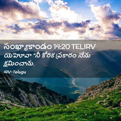 Picture 02 - సంఖ్యాకాండం 14:20 TELIRV - యెహోవా “నీ కోరిక - Bible Verse Picture
