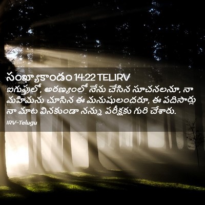 Picture 02 - సంఖ్యాకాండం 14:22 TELIRV - ఐగుప్తులో, - Bible Verse Picture