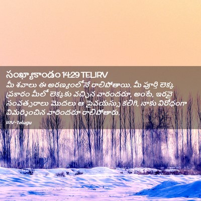 Picture 02 - సంఖ్యాకాండం 14:29 TELIRV - మీ శవాలు ఈ - Bible Verse Picture