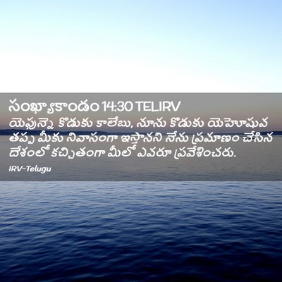 Picture 02 - సంఖ్యాకాండం 14:30 TELIRV - యెఫున్నె కొడుకు - Bible Verse Picture