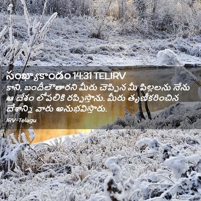 Picture 02 - సంఖ్యాకాండం 14:31 TELIRV - కాని, బందీలౌతారని - Bible Verse Picture