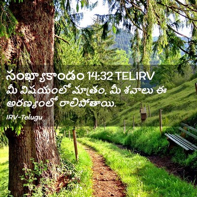 Picture 02 - సంఖ్యాకాండం 14:32 TELIRV - మీ విషయంలో మాత్రం, - Bible Verse Picture