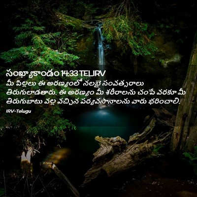 Picture 02 - సంఖ్యాకాండం 14:33 TELIRV - మీ పిల్లలు ఈ - Bible Verse Picture
