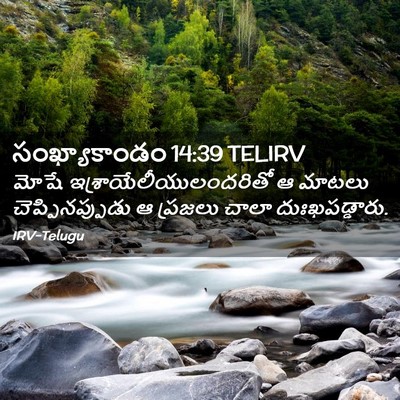 Picture 02 - సంఖ్యాకాండం 14:39 TELIRV - మోషే - Bible Verse Picture