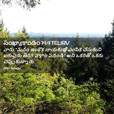 Picture 02 - సంఖ్యాకాండం 14:4 TELIRV - వారు “మనం ఇంకొక - Bible Verse Picture