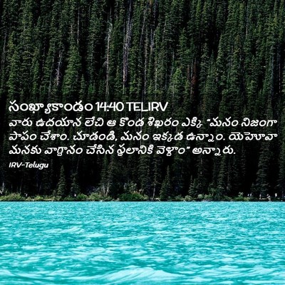 Picture 02 - సంఖ్యాకాండం 14:40 TELIRV - వారు ఉదయాన లేచి ఆ - Bible Verse Picture