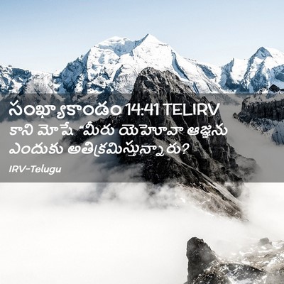 Picture 02 - సంఖ్యాకాండం 14:41 TELIRV - కాని మోషే “మీరు - Bible Verse Picture