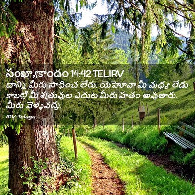 Picture 02 - సంఖ్యాకాండం 14:42 TELIRV - దాన్ని మీరు - Bible Verse Picture