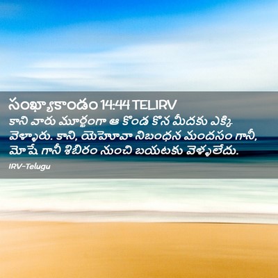 Picture 02 - సంఖ్యాకాండం 14:44 TELIRV - కాని వారు - Bible Verse Picture