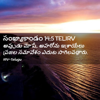 Picture 02 - సంఖ్యాకాండం 14:5 TELIRV - అప్పుడు మోషే, - Bible Verse Picture