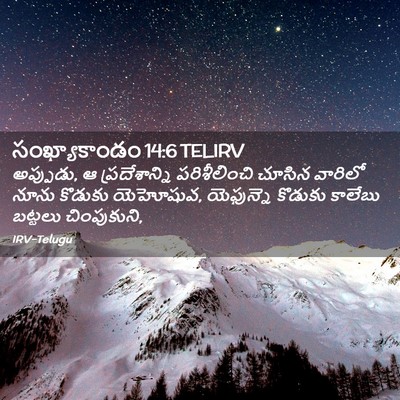 Picture 02 - సంఖ్యాకాండం 14:6 TELIRV - అప్పుడు, ఆ - Bible Verse Picture