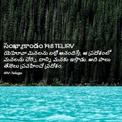 Picture 02 - సంఖ్యాకాండం 14:8 TELIRV - యెహోవా మనలను - Bible Verse Picture