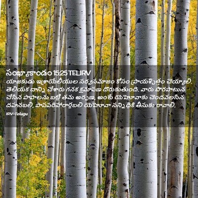 Picture 02 - సంఖ్యాకాండం 15:25 TELIRV - యాజకుడు - Bible Verse Picture