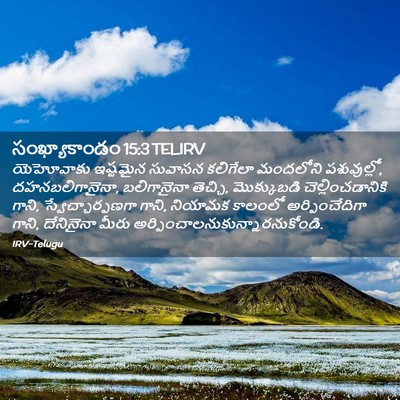 Picture 02 - సంఖ్యాకాండం 15:3 TELIRV - యెహోవాకు ఇష్టమైన - Bible Verse Picture