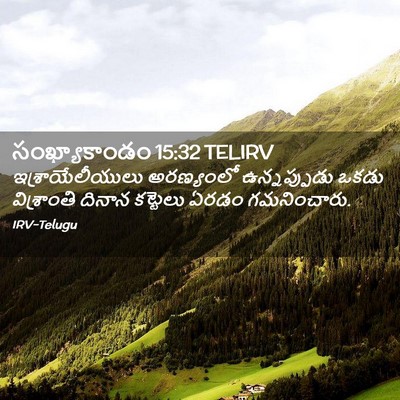 Picture 02 - సంఖ్యాకాండం 15:32 TELIRV - ఇశ్రాయేలీయులు - Bible Verse Picture