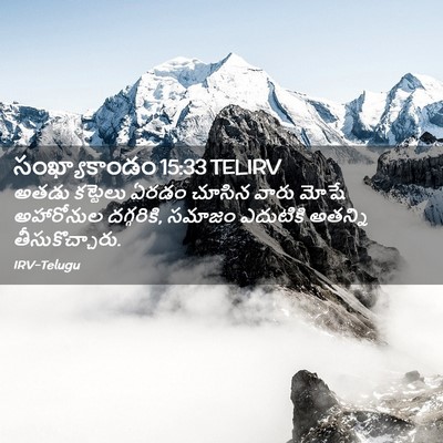 Picture 02 - సంఖ్యాకాండం 15:33 TELIRV - అతడు కట్టెలు ఏరడం - Bible Verse Picture
