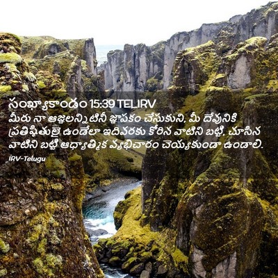 Picture 02 - సంఖ్యాకాండం 15:39 TELIRV - మీరు నా - Bible Verse Picture