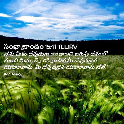 Picture 02 - సంఖ్యాకాండం 15:41 TELIRV - నేను మీకు - Bible Verse Picture