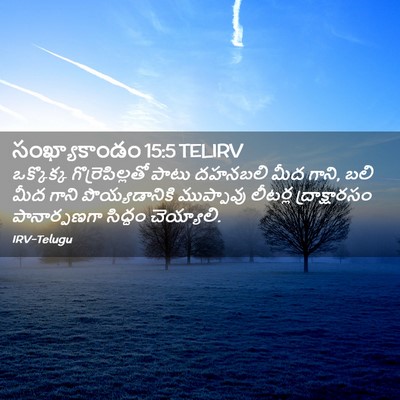 Picture 02 - సంఖ్యాకాండం 15:5 TELIRV - ఒక్కొక్క - Bible Verse Picture