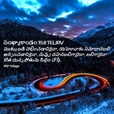 Picture 02 - సంఖ్యాకాండం 15:8 TELIRV - మొక్కుబడి - Bible Verse Picture