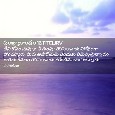 Picture 02 - సంఖ్యాకాండం 16:11 TELIRV - దీని కోసం నువ్వూ, - Bible Verse Picture