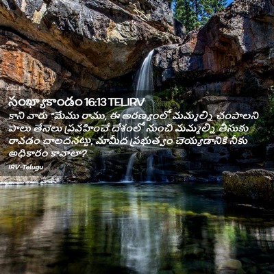 Picture 02 - సంఖ్యాకాండం 16:13 TELIRV - కాని వారు “మేము - Bible Verse Picture