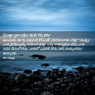 Picture 02 - సంఖ్యాకాండం 16:15 TELIRV - అందుకు మోషే - Bible Verse Picture