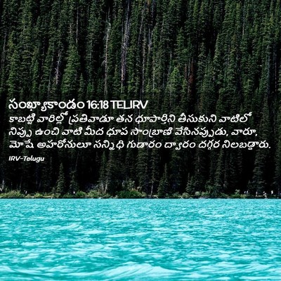 Picture 02 - సంఖ్యాకాండం 16:18 TELIRV - కాబట్టి వారిల్లో - Bible Verse Picture