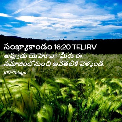 Picture 02 - సంఖ్యాకాండం 16:20 TELIRV - అప్పుడు యెహోవా - Bible Verse Picture