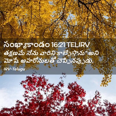 Picture 02 - సంఖ్యాకాండం 16:21 TELIRV - తక్షణమే నేను - Bible Verse Picture