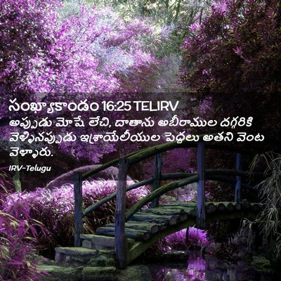 Picture 02 - సంఖ్యాకాండం 16:25 TELIRV - అప్పుడు మోషే లేచి, - Bible Verse Picture