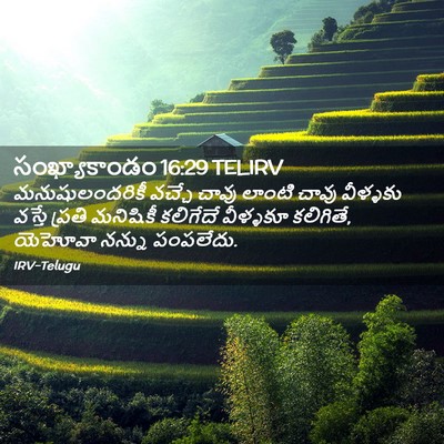 Picture 02 - సంఖ్యాకాండం 16:29 TELIRV - మనుషులందరికీ - Bible Verse Picture