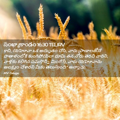 Picture 02 - సంఖ్యాకాండం 16:30 TELIRV - కాని, యెహోవా ఒక - Bible Verse Picture