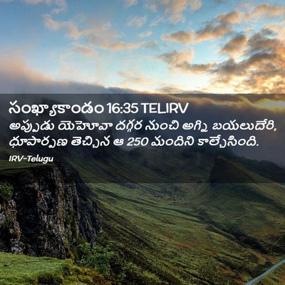 Picture 02 - సంఖ్యాకాండం 16:35 TELIRV - అప్పుడు యెహోవా - Bible Verse Picture