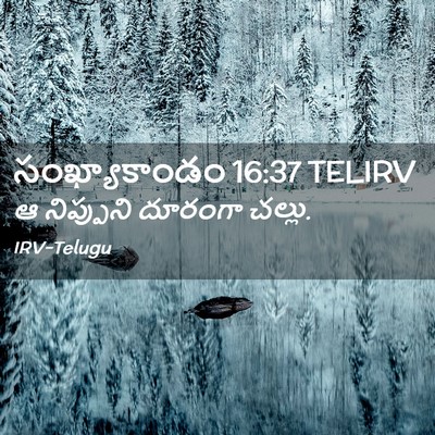 Picture 02 - సంఖ్యాకాండం 16:37 TELIRV - ఆ నిప్పుని దూరంగా - Bible Verse Picture