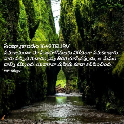 Picture 02 - సంఖ్యాకాండం 16:42 TELIRV - సమాజమంతా మోషే - Bible Verse Picture