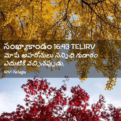 Picture 02 - సంఖ్యాకాండం 16:43 TELIRV - మోషే అహరోనులు - Bible Verse Picture