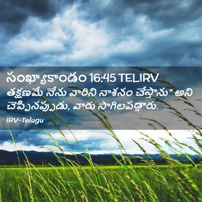 Picture 02 - సంఖ్యాకాండం 16:45 TELIRV - తక్షణమే నేను - Bible Verse Picture