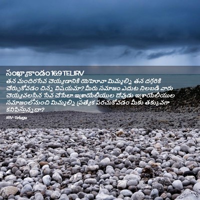 Picture 02 - సంఖ్యాకాండం 16:9 TELIRV - తన మందిరసేవ - Bible Verse Picture
