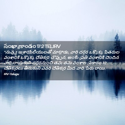 Picture 02 - సంఖ్యాకాండం 17:2 TELIRV - “నువ్వు - Bible Verse Picture