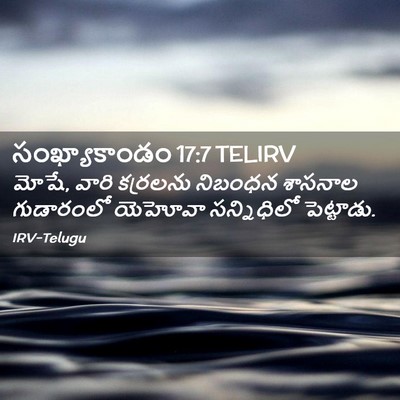 Picture 02 - సంఖ్యాకాండం 17:7 TELIRV - మోషే, వారి కర్రలను - Bible Verse Picture
