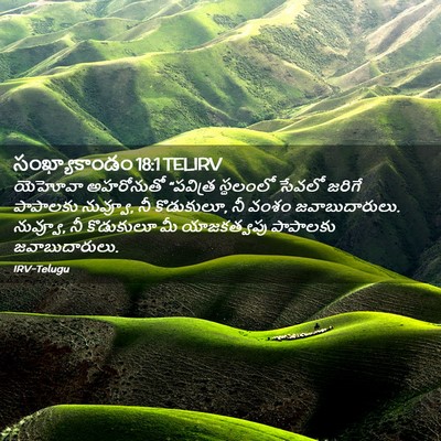 Picture 02 - సంఖ్యాకాండం 18:1 TELIRV - యెహోవా అహరోనుతో - Bible Verse Picture